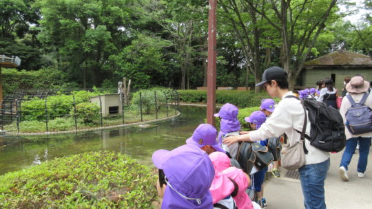 千葉市動物公園～年長～