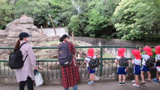 千葉市動物公園～年中～