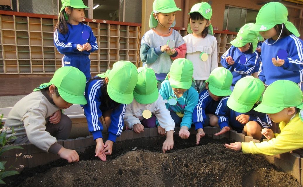 年中　たくさんごらんください⑥～〇〇〇の種や球根植え～