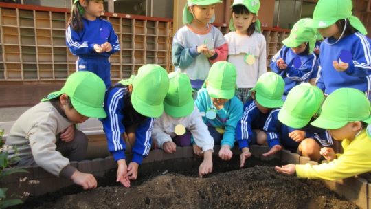 年中　たくさんごらんください⑥～〇〇〇の種や球根植え～