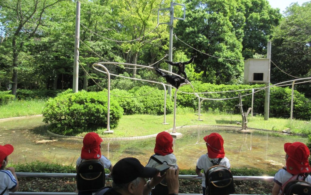 千葉市動物公園～年中～