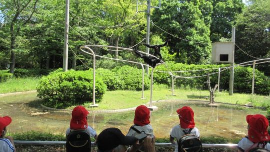 千葉市動物公園～年中～