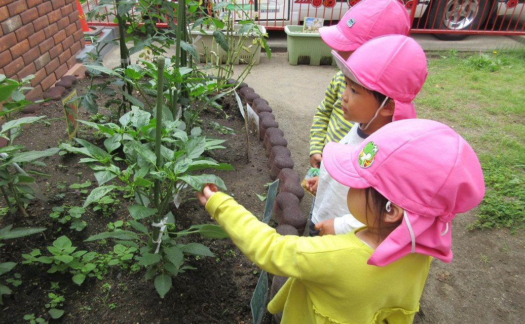 年少 園生活のようす(戸外遊び)
