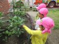 年少　園生活のようす（戸外遊び）