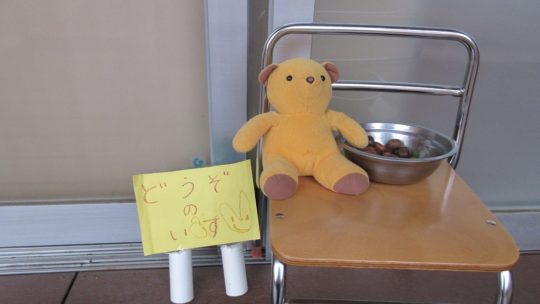 年少　日常保育のようす➂