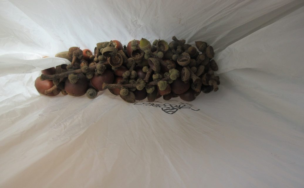 年中　園外保育➁