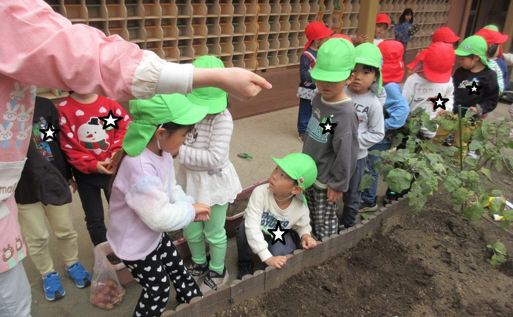 年中　種まき①