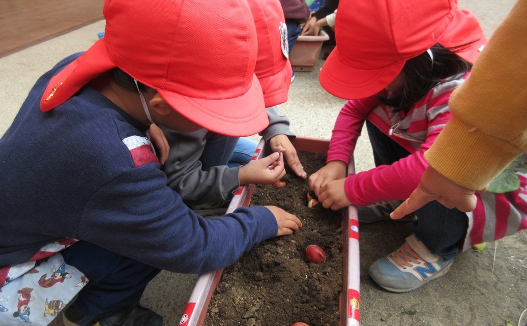 年中　種まき②