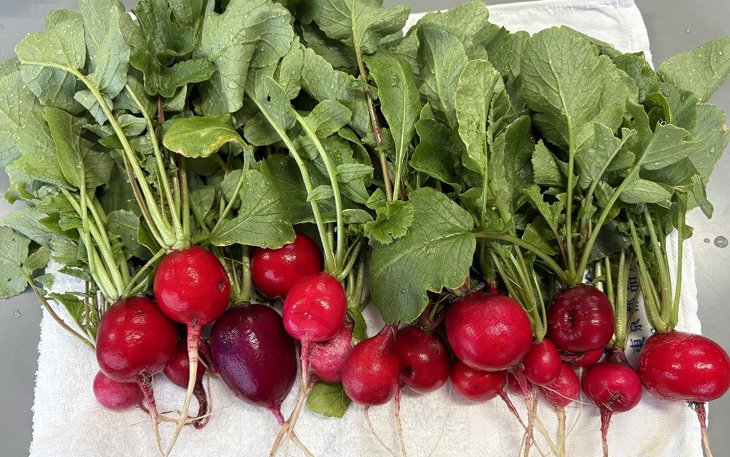 年長　みんなで最後の体操＆逆上がり記念パーティー③