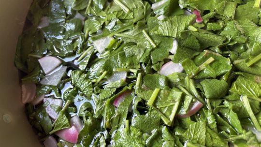 年長　みんなで最後の体操＆逆上がり記念パーティー④